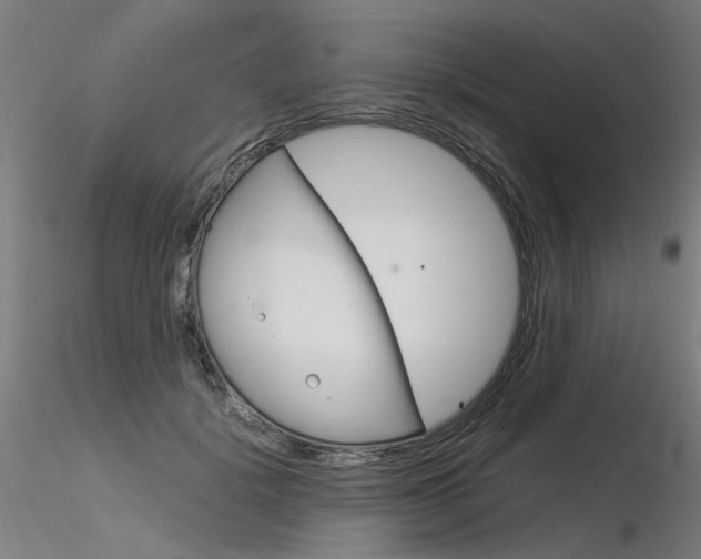 X0000116370652200912021011