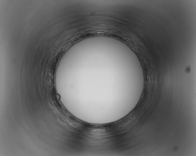 X0000116370653200912021011