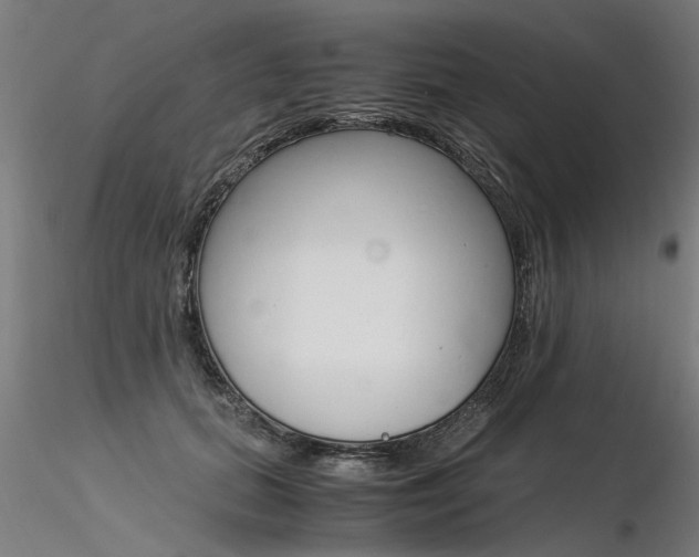 X0000116370655200912021011