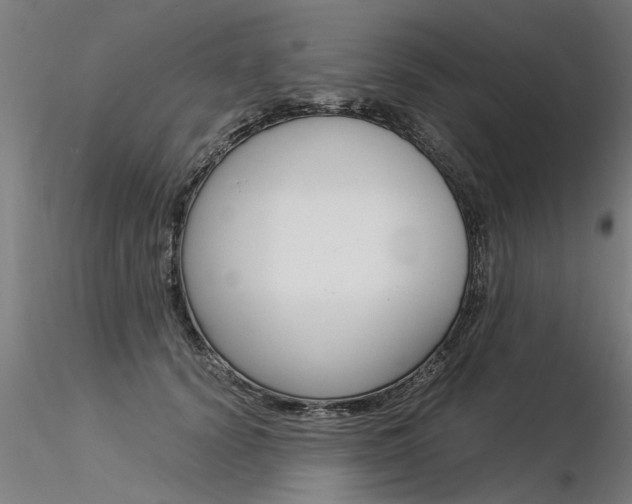 X0000116370656200912021011