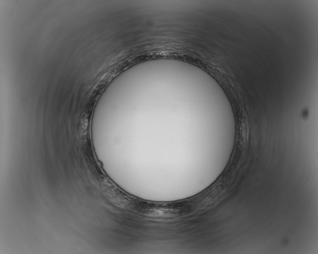 X0000116370657200912021011