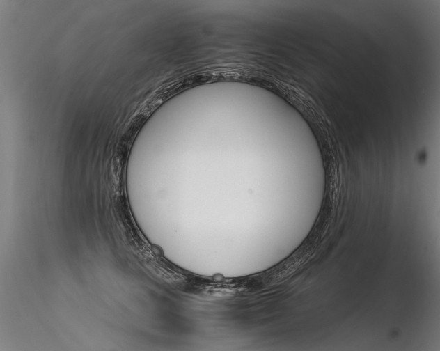 X0000116370661200912021011