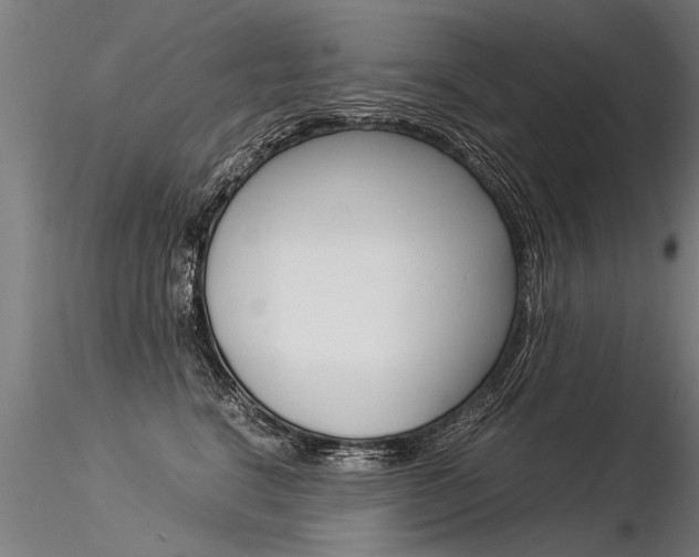 X0000116370664200912021011
