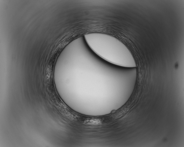X0000116370665200912021011