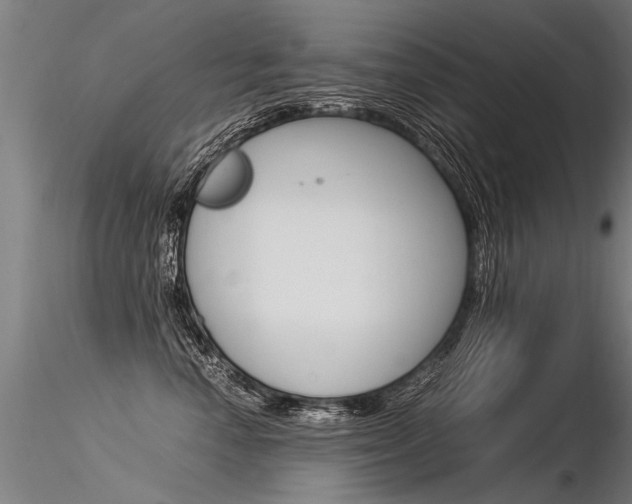 X0000116370666200912021011