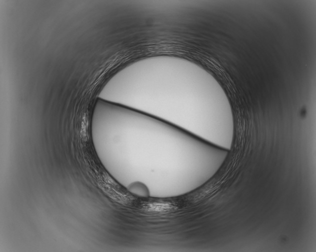 X0000116370669200912021011