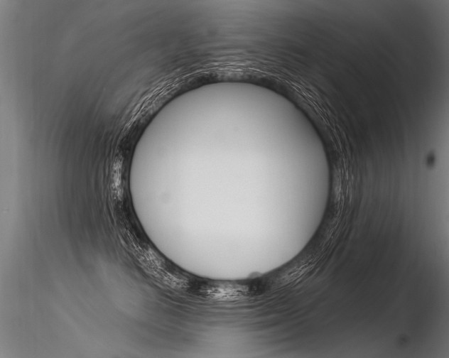 X0000116370670200912021011