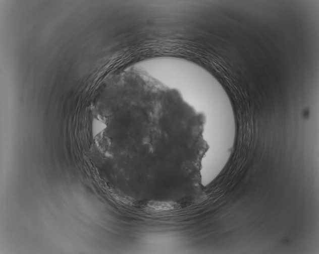 X0000116370671200912021011