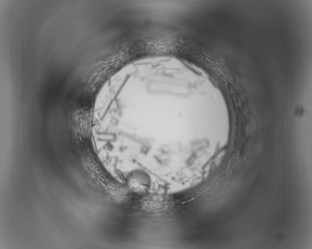 X0000116370672200912021011