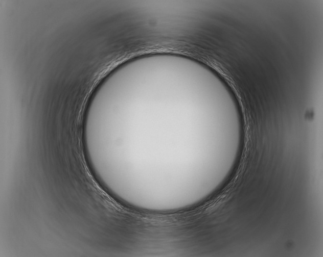 X0000116370673200912021010