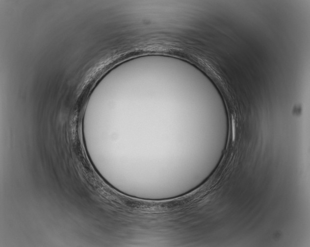 X0000116370675200912021010