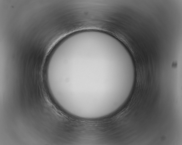 X0000116370676200912021010