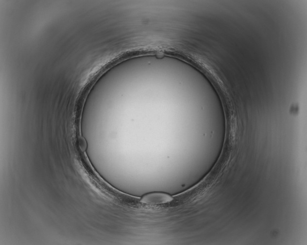 X0000116370677200912021010