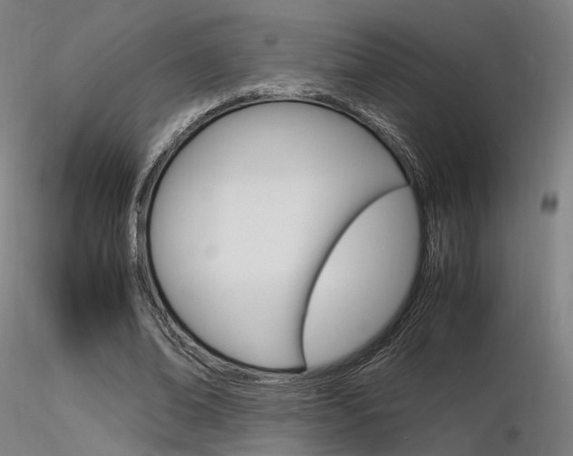 X0000116370678200912021010
