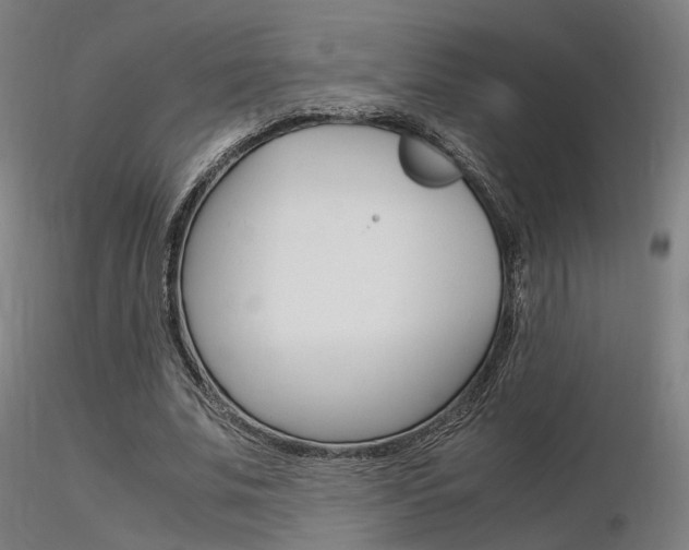 X0000116370679200912021010