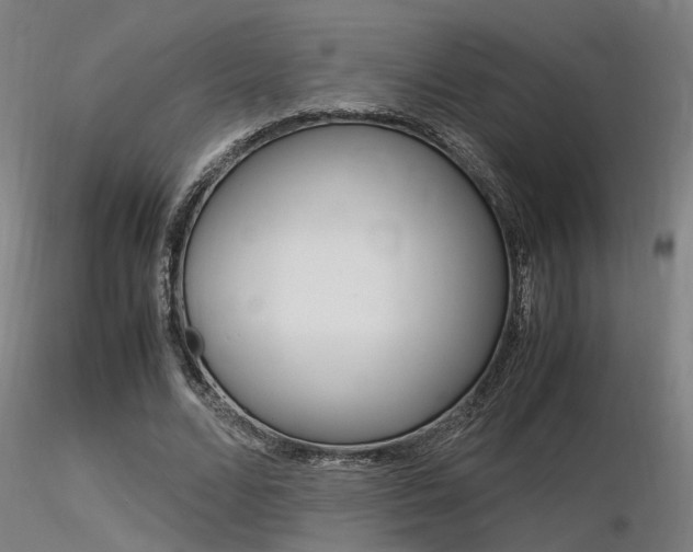 X0000116370680200912021010