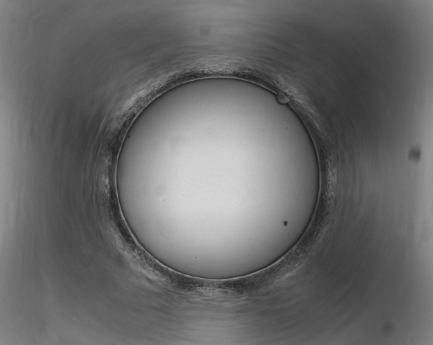 X0000116370681200912021010