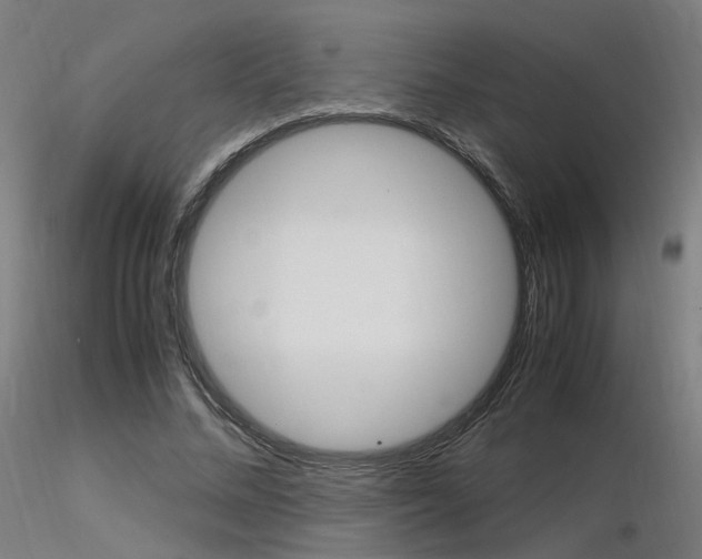X0000116370684200912021010