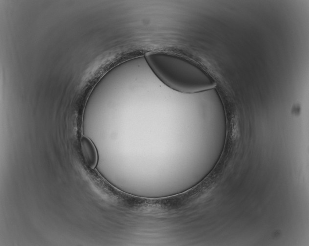 X0000116370685200912021010