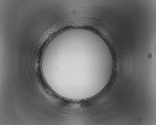 X0000116370687200912021010