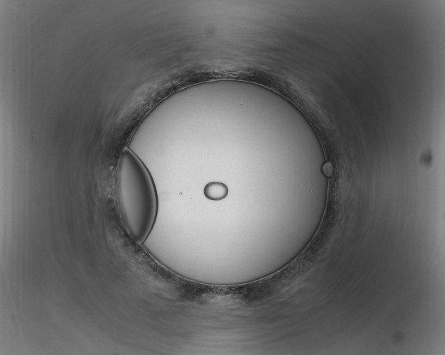 X0000116370689200912021010