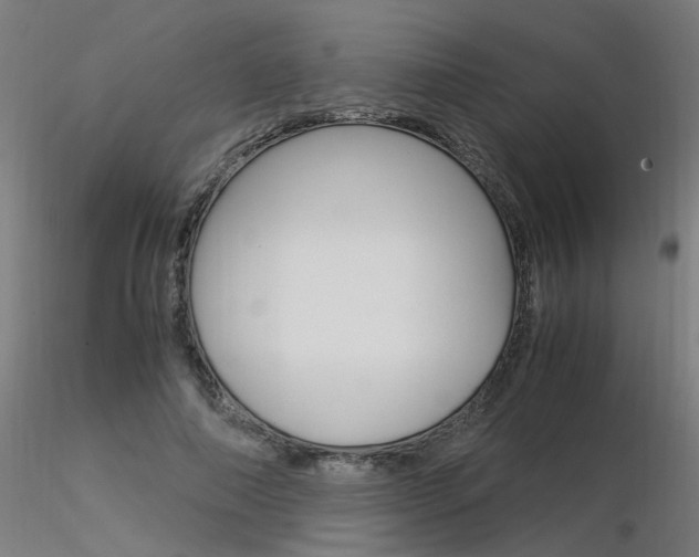 X0000116370690200912021010