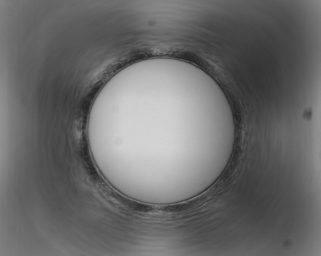 X0000116370691200912021010