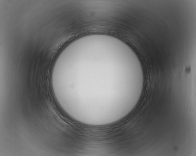 X0000116370692200912021010