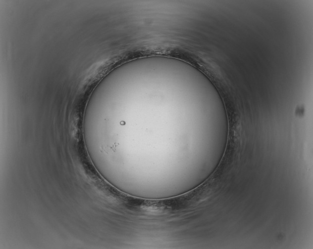 X0000116370693200912021010