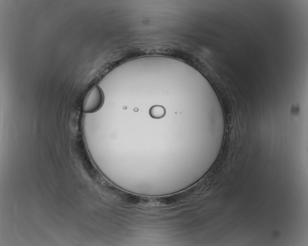 X0000116370695200912021010