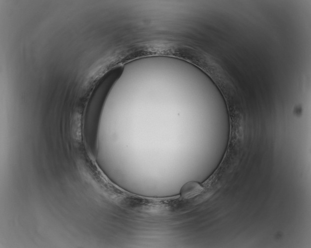 X0000116370696200912021010
