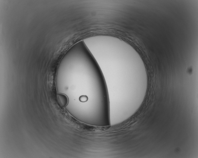 X0000116370697200912021010