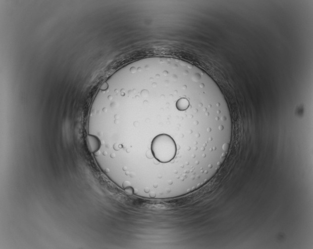 X0000116370698200912021010