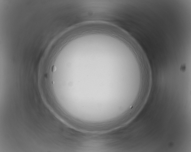 X0000116370701200912021010