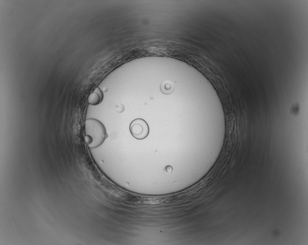 X0000116370702200912021010