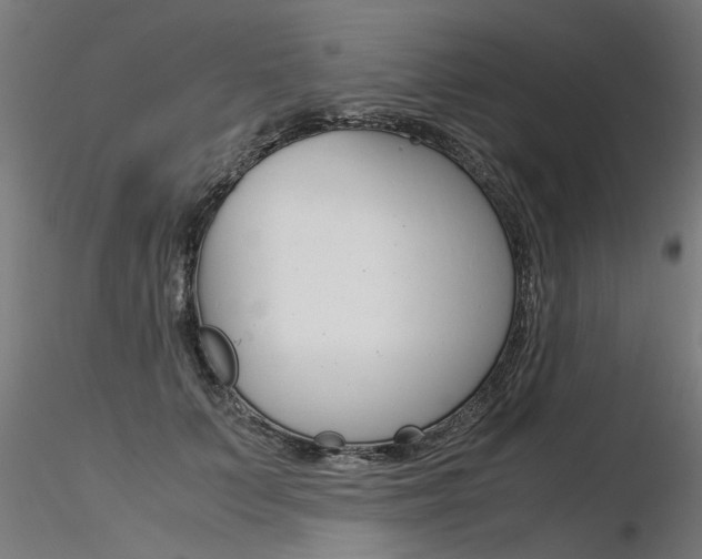 X0000116370703200912021010