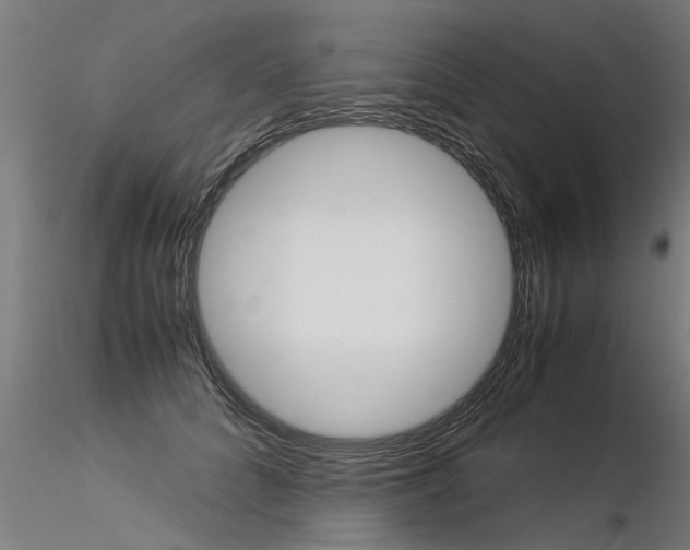 X0000116370704200912021010