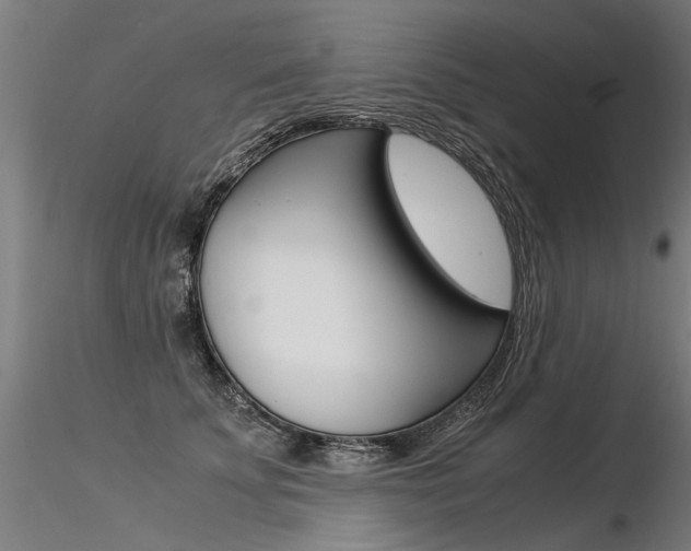 X0000116370707200912021010