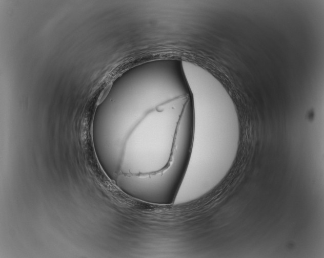 X0000116370708200912021010