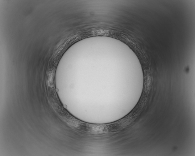 X0000116370709200912021010