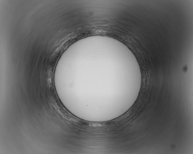 X0000116370710200912021010