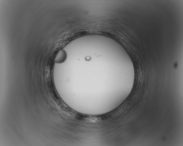 X0000116370711200912021010