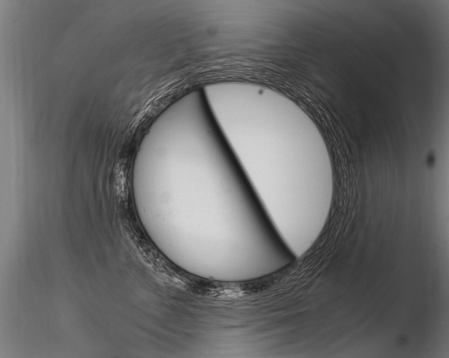 X0000116370715200912021010