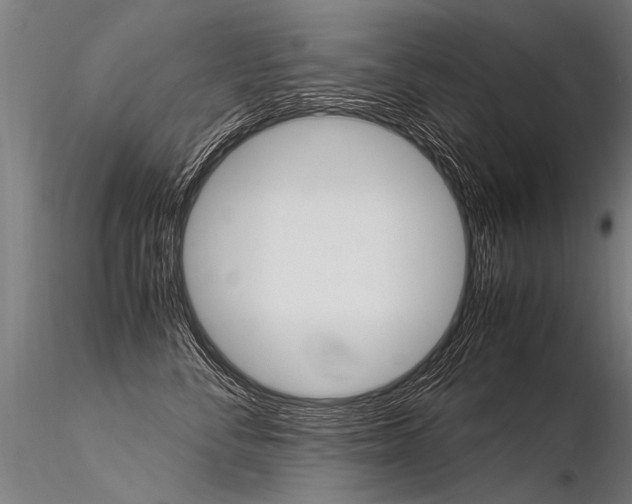X0000116370716200912021010
