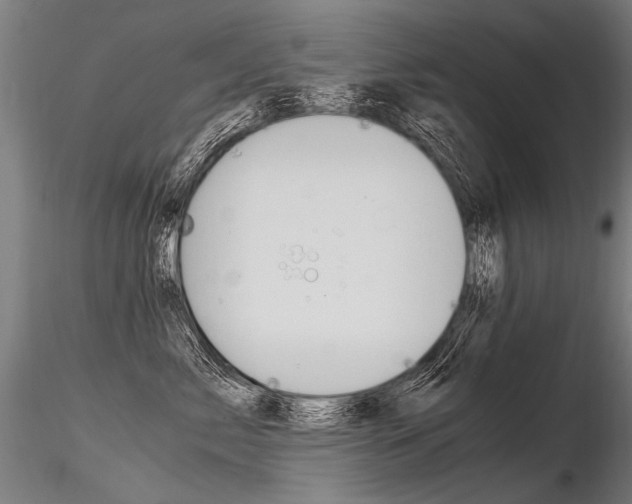 X0000116370717200912021010