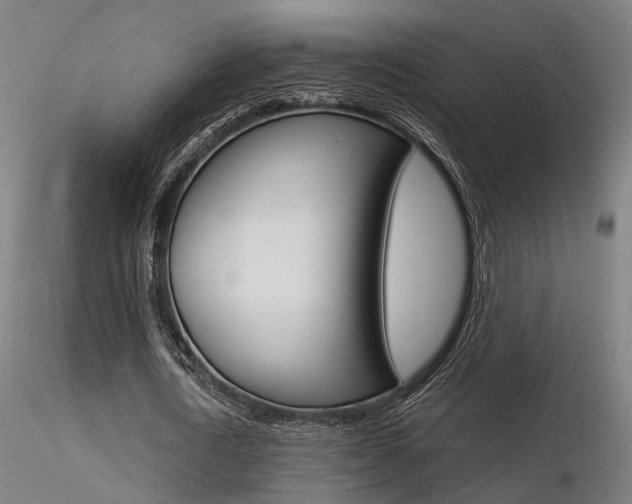 X0000116370722200912021009