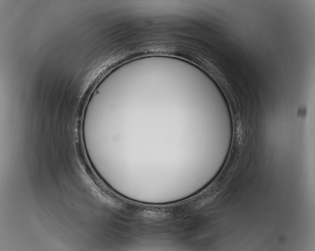 X0000116370725200912021009