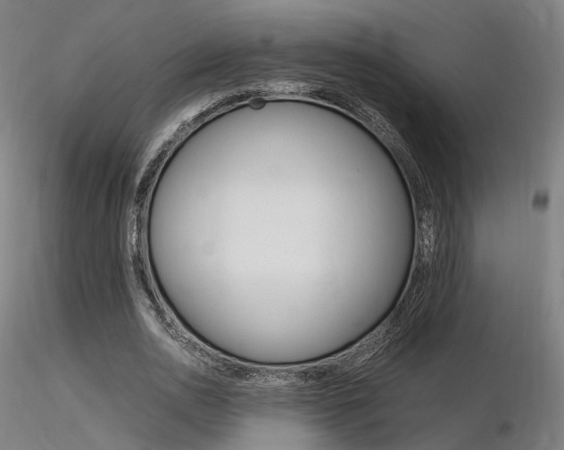 X0000116370726200912021009
