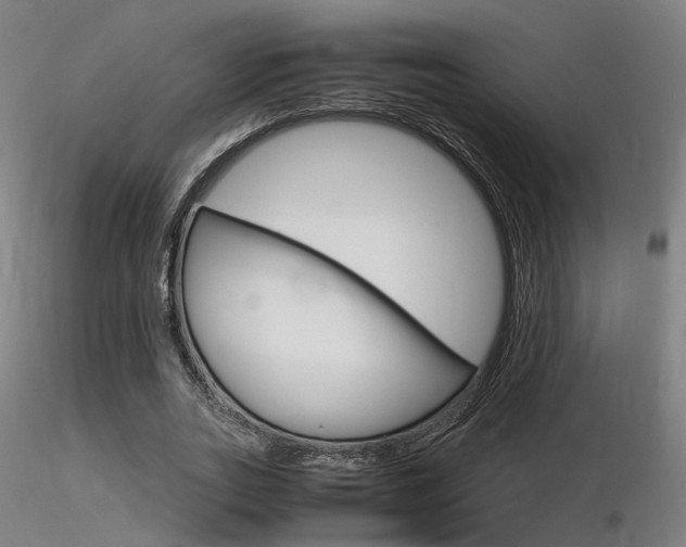 X0000116370727200912021009