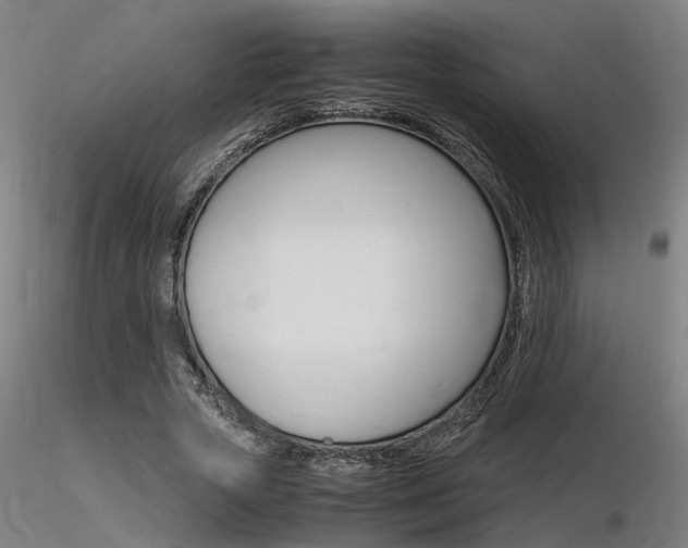 X0000116370729200912021009